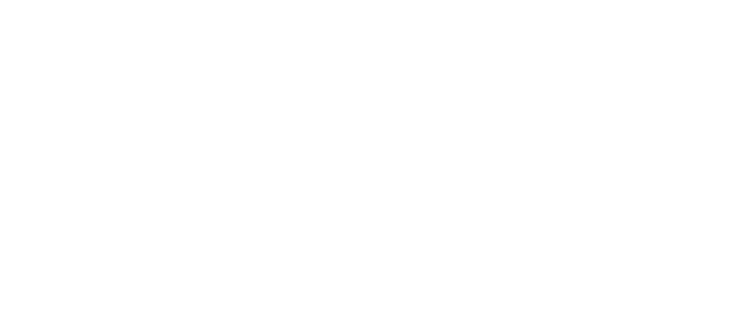 AIG resized